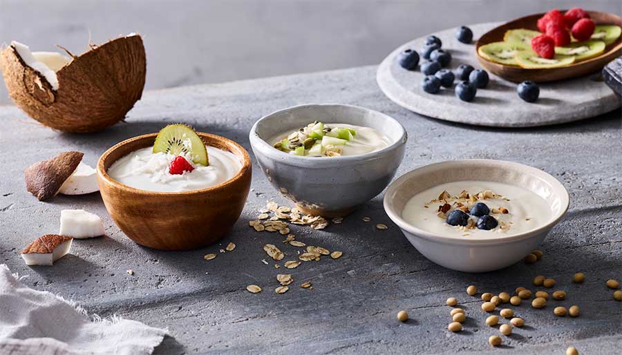 Fermented-plantbased