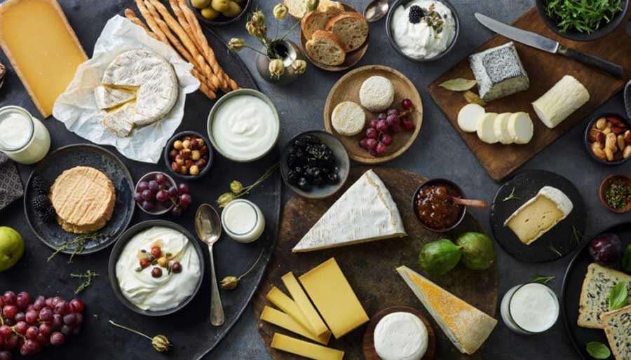 Selection cheese yogurt
