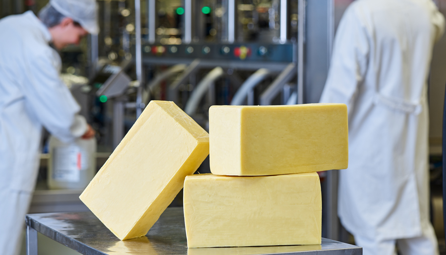 Optimalizace výroby sýrů