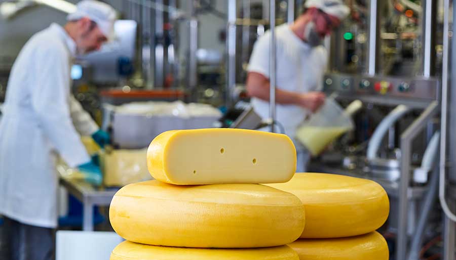 A sajtkészítés termelékenységének javítása a CHY-MAX® Supreme segítségével