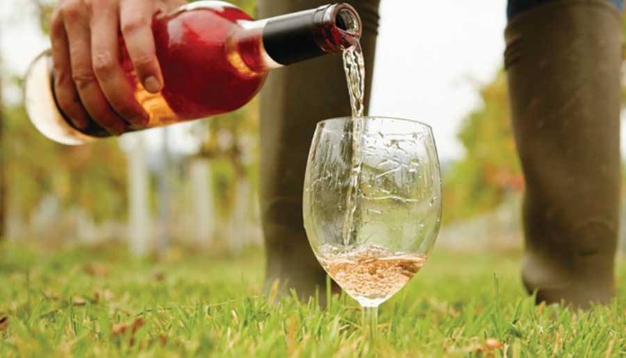 Rose wine in glasses
