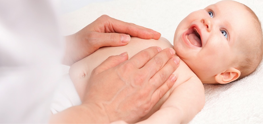 Infant and the BB-12 probiotic strain