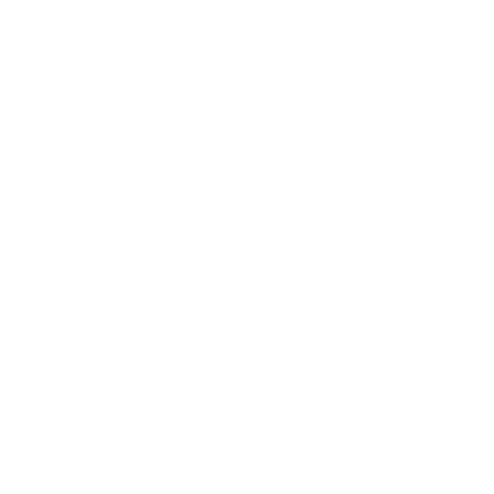 light bulb icon