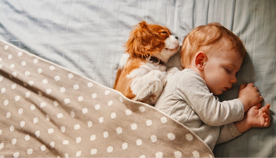 Baby sleeping diarrhea in babies and children and probiotics
