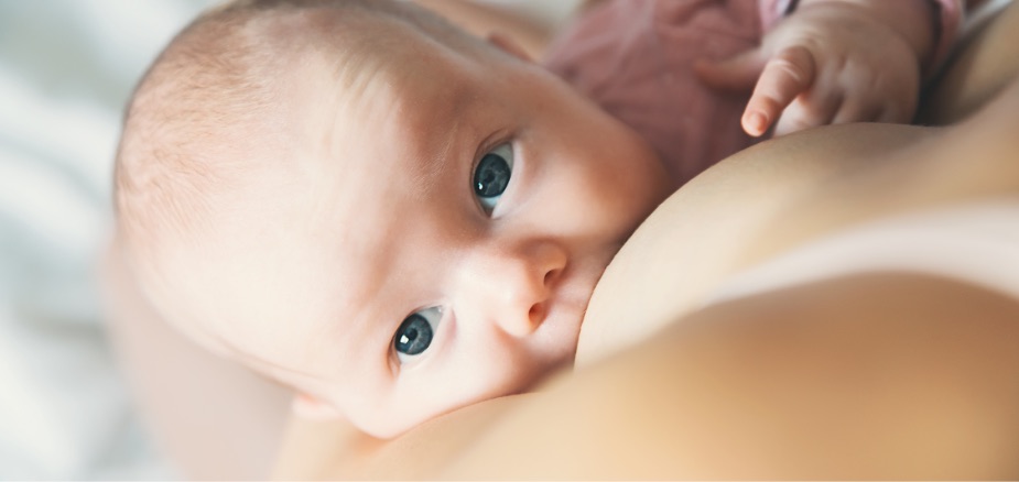 Breastfed infant and probiotic supplement