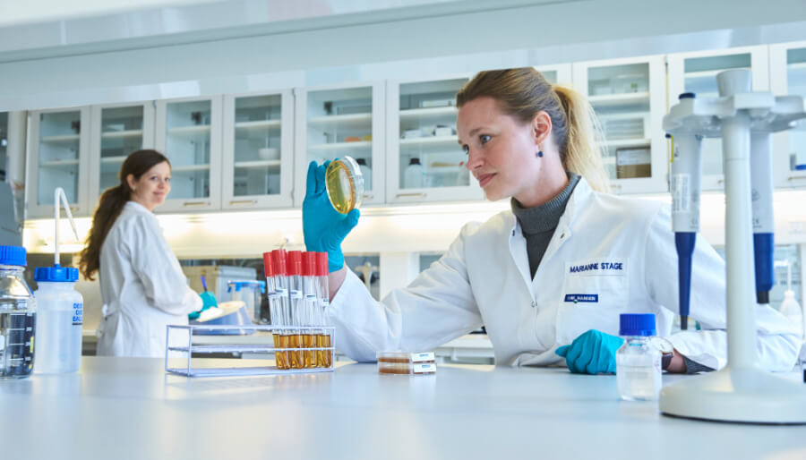 Scientists working with probiotics and microbiome science in the lab